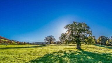 How to Cope with Grief and Loss in a Family.